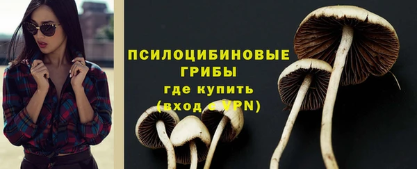 spice Богородицк