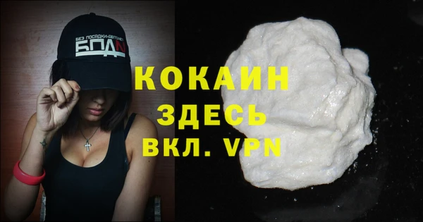 spice Богородицк