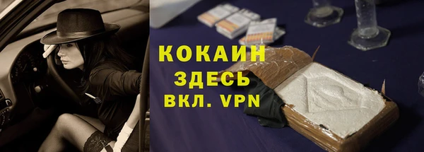 spice Богородицк