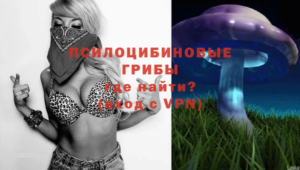 spice Богородицк