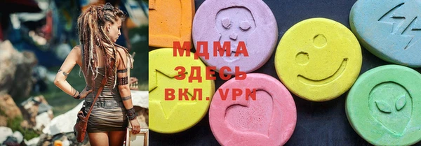 spice Богородицк