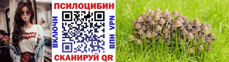 Псилоцибиновые грибы прущие грибы  Михайловка 